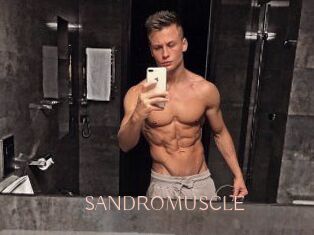 SANDRO_MUSCLE