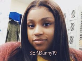 SEABunny19