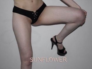 SUNFLOWER Anal Sexe