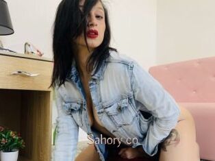 Sahory_co