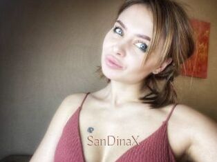 SanDinaX