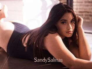 SandySalinas