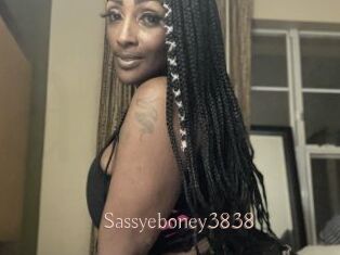 Sassyeboney3838
