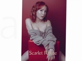 Scarlet_Rouse