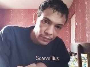 Scarvellius