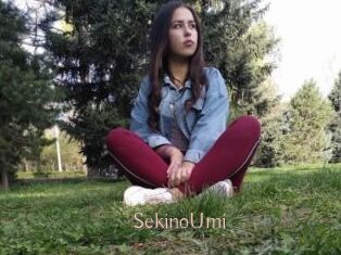 SekinoUmi