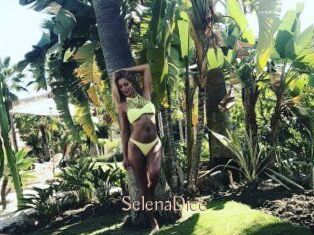 SelenaDice