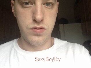 SexyBoyToy