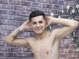 ShaneBlack