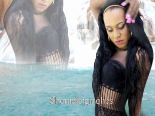 Shenielbiginches