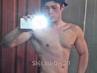 ShyLittleBoy20