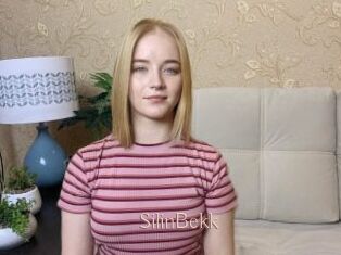 SilinBekk