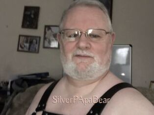 SilverPApaBear