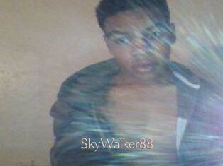 SkyWalker88