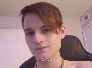 Skylur