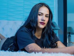 SofiaBridge