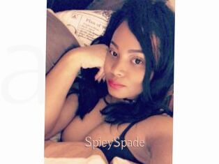 SpicySpade