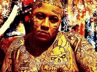 SpiderTheSnake