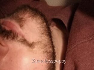 Spinelesspoppy