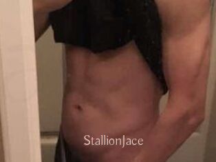 StallionJace