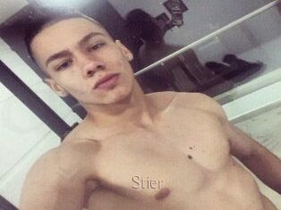 Stier