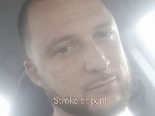 Stroke_of_penis