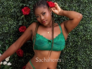 Sachahents