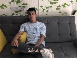 Salvatredelrey