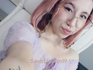 Sandyblossom19