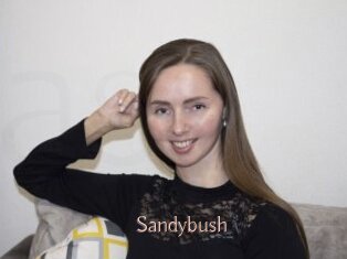Sandybush