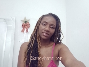 sandyhamilton Anal Sexe