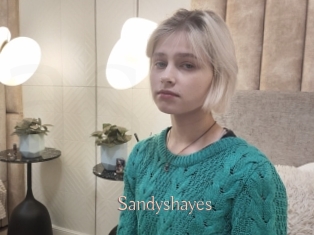 Sandyshayes