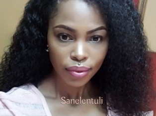 Sanelentuli