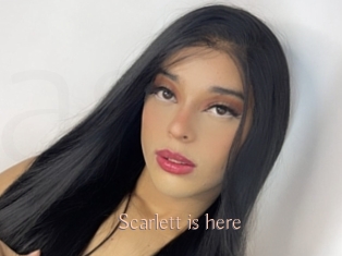 Scarlett_is_here