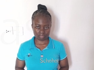 Schohot