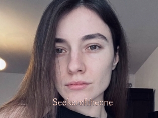 Seekeroftheone