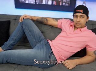 Seexxyboyxxx