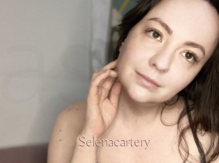 Selenacartery