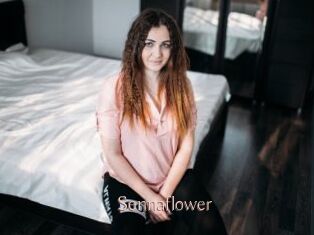Sennaflower