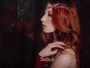 senua Anal Sexe