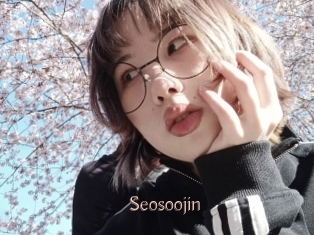Seosoojin