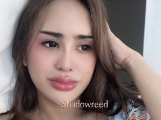 Shadowreed