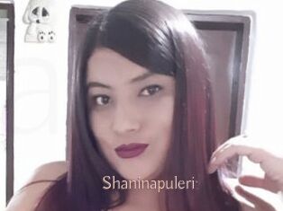 Shaninapuleri