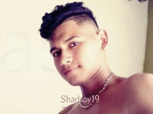 Sharboy19