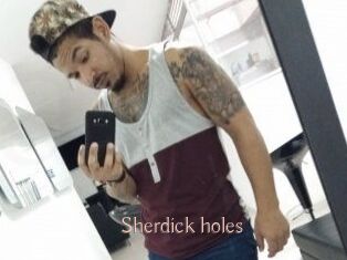 Sherdick_holes