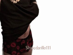 Shinedarillo111