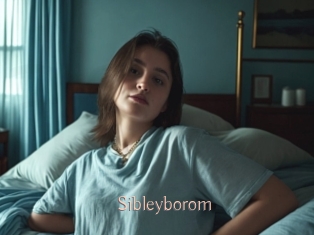 Sibleyborom