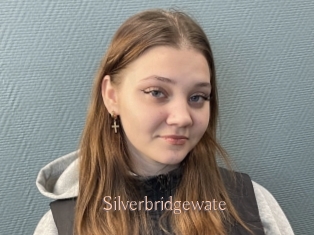 Silverbridgewate