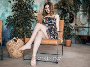 Skarletterosa