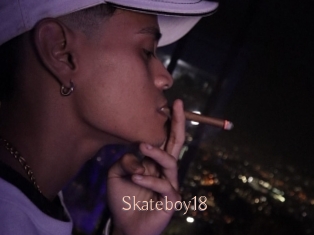 Skateboy18